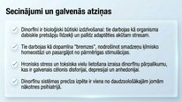 Презентация 'Dinorfīni', 24.