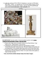 Конспект 'Konkurss vidusskolēniem vēsturē manas Tēvzemes stāsts – Dvēseļu putenis', 24.