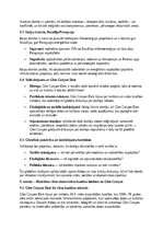 Эссе 'The Damnation of a Canyon: Glen Canyon Dam konfliktu analīze vides, kultūras un ', 10.