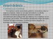Презентация 'Nākotnes profesija - veterinārārsts, mazo dzīvnieku frizieris un kinologs', 3.