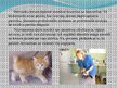 Презентация 'Nākotnes profesija - veterinārārsts, mazo dzīvnieku frizieris un kinologs', 6.