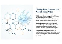 Презентация 'Atvieglojuma ceļš: neiromediatoru lielā modulācija', 3.