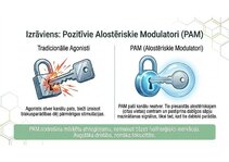 Презентация 'Atvieglojuma ceļš: neiromediatoru lielā modulācija', 9.