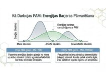 Презентация 'Atvieglojuma ceļš: neiromediatoru lielā modulācija', 10.