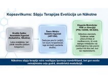 Презентация 'Atvieglojuma ceļš: neiromediatoru lielā modulācija', 13.