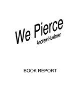 Конспект 'Report about Book "We Pierce"', 1.