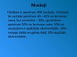 Презентация 'Rumpja muskuļi', 2.