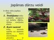 Презентация 'Japānas sausie dārzi', 4.
