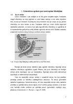 Дипломная 'Nootropo līdzekļu lietošanas tendences studentu vidū', 7.