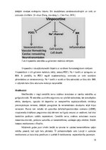 Дипломная 'Nootropo līdzekļu lietošanas tendences studentu vidū', 19.