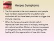 Презентация 'Herpes Viruses', 9.