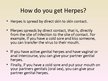 Презентация 'Herpes Viruses', 14.