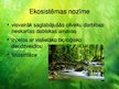 Презентация 'Tropu mežu ekosistēma', 13.