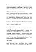 Эссе 'Tēlu analīze Annas Brigaderes pasaku lugā ‘Sprīdītis’: raksturu atklāsme un morā', 2.