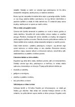 Эссе 'Tēlu analīze Annas Brigaderes pasaku lugā ‘Sprīdītis’: raksturu atklāsme un morā', 4.