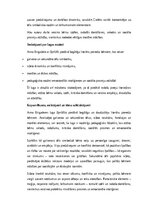 Эссе 'Tēlu analīze Annas Brigaderes pasaku lugā ‘Sprīdītis’: raksturu atklāsme un morā', 5.