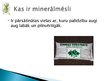Презентация 'Pesticīdu un minerālmēslu izmantošana lauksaimniecībā', 14.