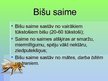 Презентация 'Čaklais dabas kukainis - bite', 4.