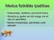 Презентация 'Čaklais dabas kukainis - bite', 13.