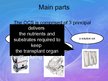 Презентация 'Warm Organ Perfusion Device', 8.