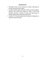 Дипломная 'SIA "X" gada pārskats', 32.