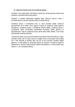 Конспект 'Tiesību teorija', 16.