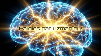 Презентация 'Kā fiziskās aktivitātes aizsargā smadzeņu veselību', 17.