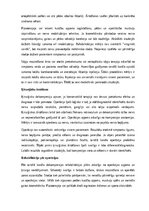 Конспект 'Tarsālā kanāla sindroms', 8.