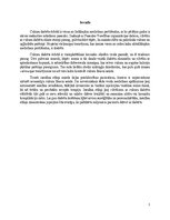 Реферат 'Insulīna sūknis', 3.