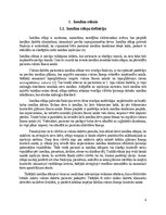 Реферат 'Insulīna sūknis', 4.