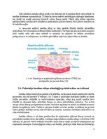Реферат 'Insulīna sūknis', 9.