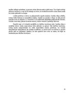 Реферат 'Insulīna sūknis', 10.