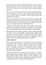 Конспект 'Pilnvara vadīt automašīnu un šķērsot ar to robežu', 15.