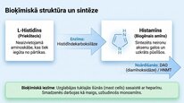 Презентация 'Histamīns', 4.