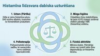 Презентация 'Histamīns', 10.