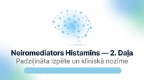 Презентация 'Histamīns', 12.