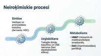 Презентация 'Histamīns', 19.