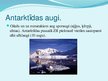 Презентация 'Antarktīda', 4.