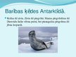 Презентация 'Antarktīda', 8.