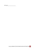 Образец документа 'Darba aizsardzības instrukcija darbam ar rokas pneimatiskajiem instrumentiem', 5.