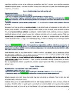 Конспект 'Eiropas Savienības starptautiskās privāttiesības un starptautiskais process', 77.