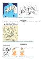 Конспект 'Saitēšana', 4.