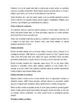 Реферат 'Skolēna bioloģisko un vides faktoru mijiedarbība', 6.