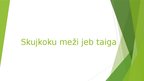 Презентация 'Skujkoku meži jeb taiga', 1.