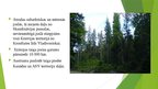 Презентация 'Skujkoku meži jeb taiga', 4.