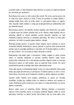 Эссе '“Vārdam ir spēks” – P. Koelju', 4.