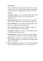 Эссе 'Mana tautasdziesma', 8.