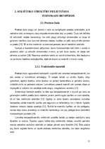 Реферат 'Auksētiskās struktūras un to pielietojuma iespējas tehniskajā ortopēdijā', 12.