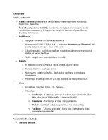 Конспект 'Senie Austrumi ar uzdevumiem', 1.