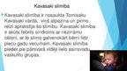 Презентация 'Kavasaki sindroms', 2.